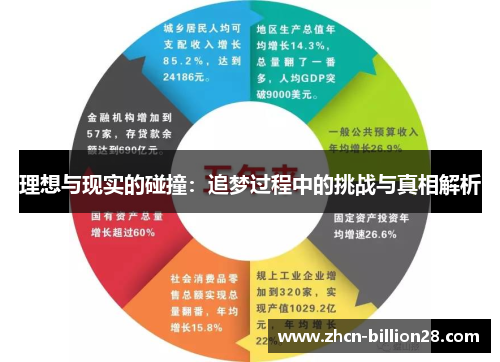 理想与现实的碰撞：追梦过程中的挑战与真相解析