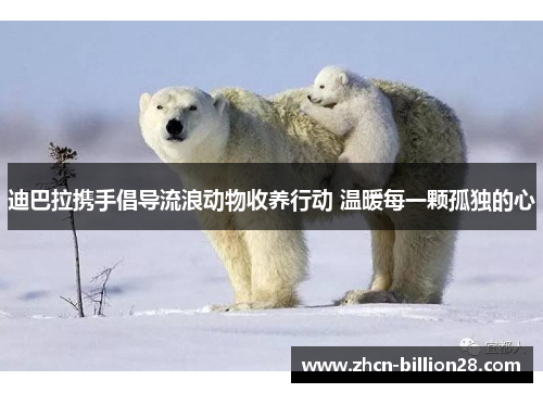 迪巴拉携手倡导流浪动物收养行动 温暖每一颗孤独的心